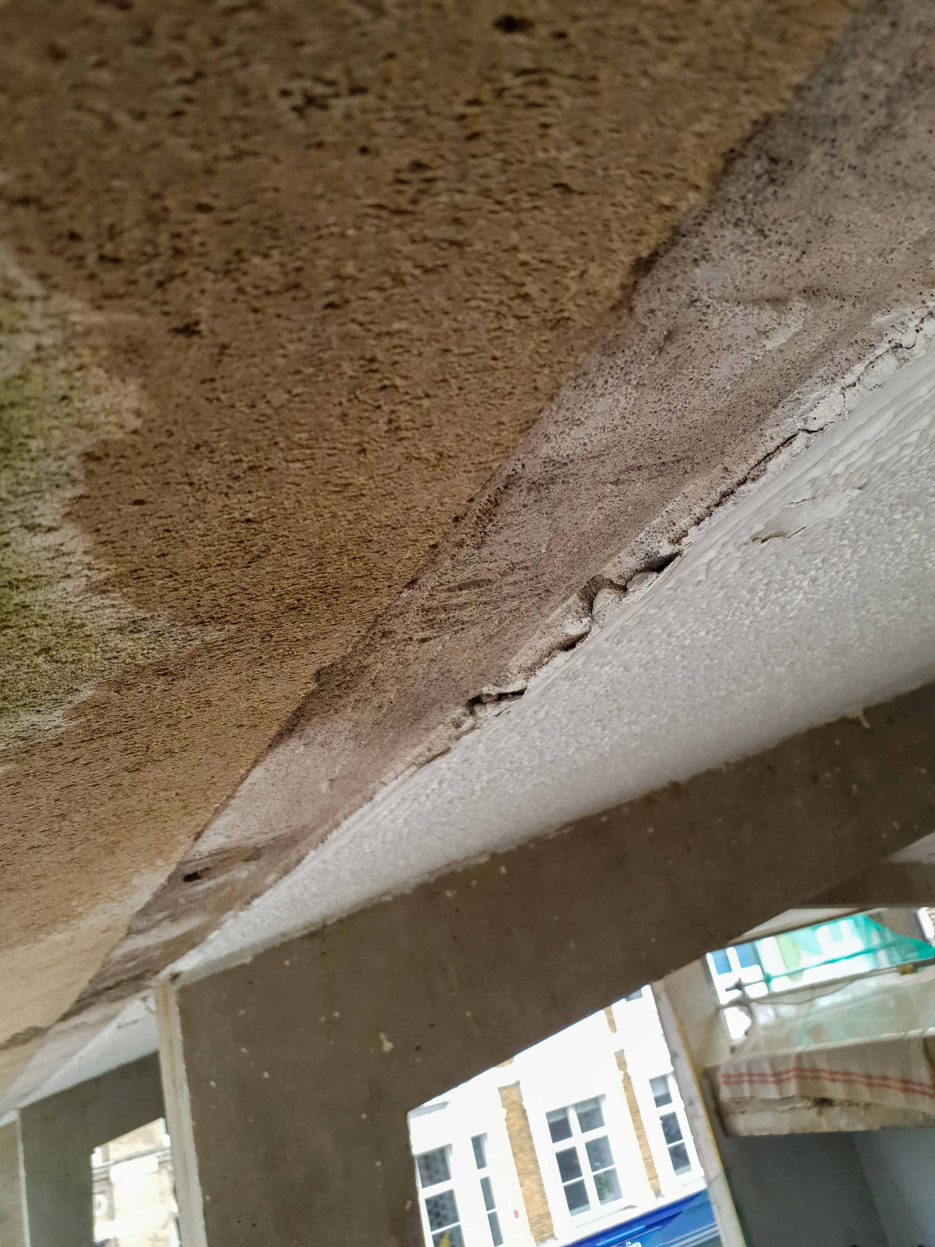 Water Damage and Mold Growth